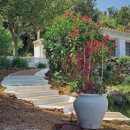 Katafygio, Hillside Hideaway In Skiathos Exterior photo
