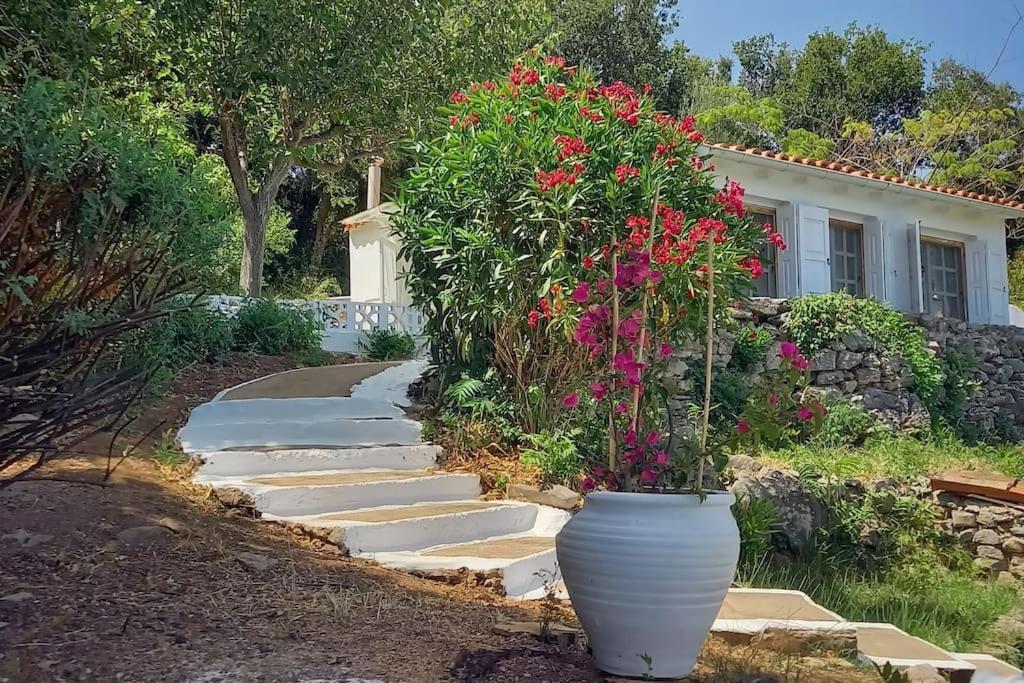 Holiday home Katafygio, Hillside Hideaway In *